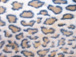 25 Leopard pattern.JPG